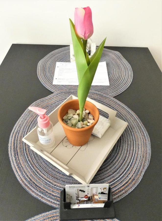 Msq Diana - 10 Min From Center - Free Coffee And Tea - High Speed Internet Appartement Vienne